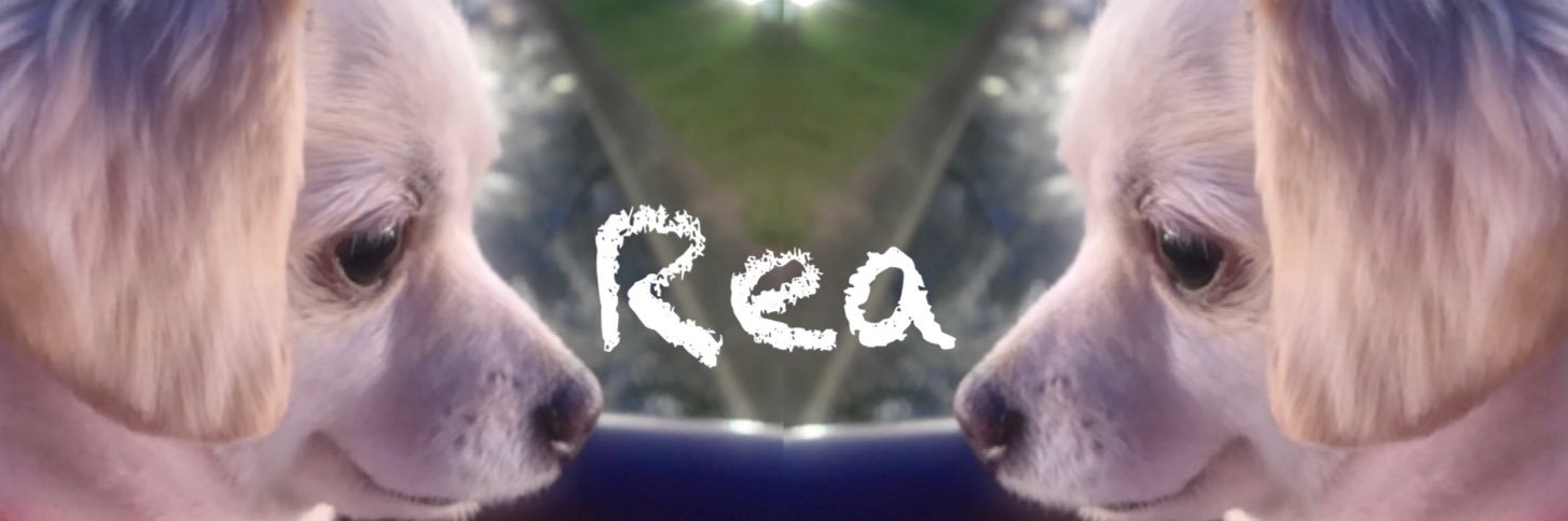 rea0630's profile banner image