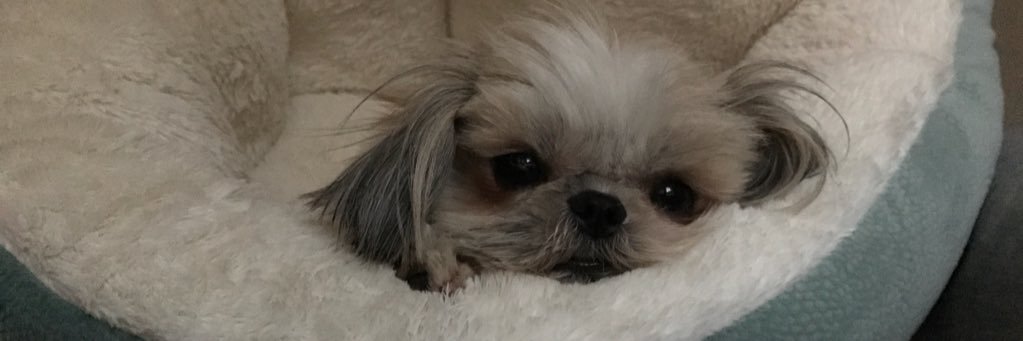 graceallen1's profile banner image