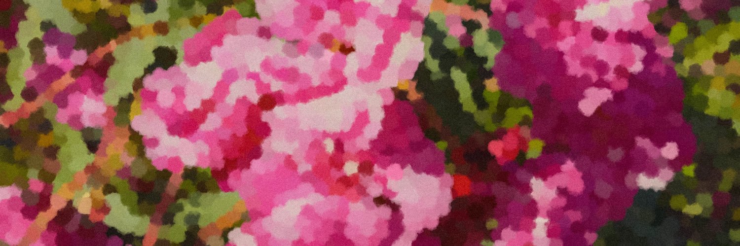 audararey's profile banner image