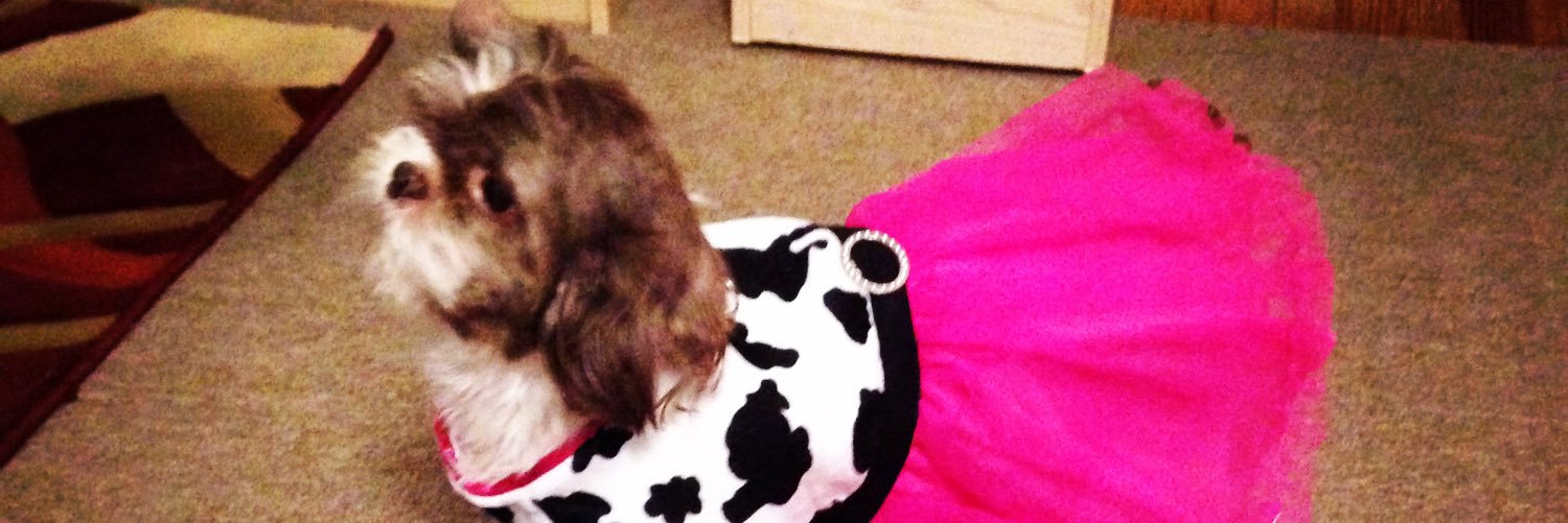Jen_bunny1's profile banner image