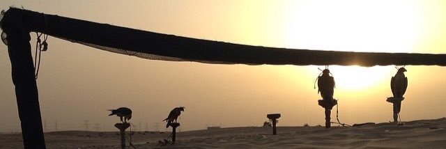 hazza_666's profile banner image