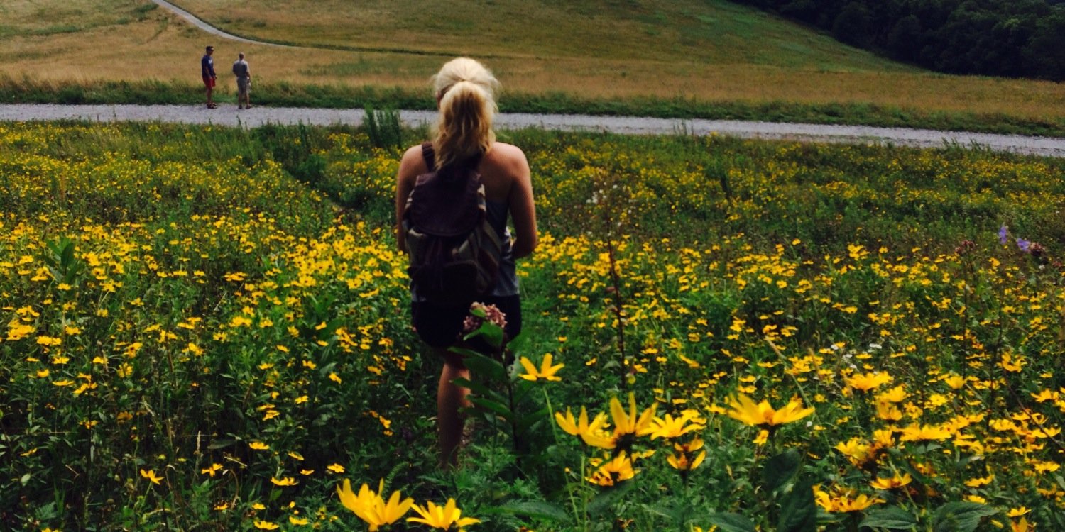 valeriesawka's profile banner image