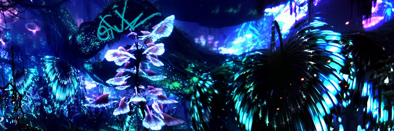 b3ckyjade's profile banner image