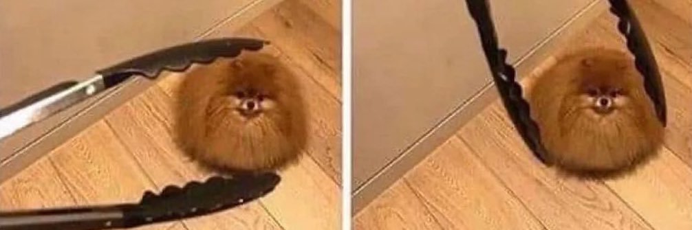 Aurélie ✨ BITTERBEZT ✨ banner