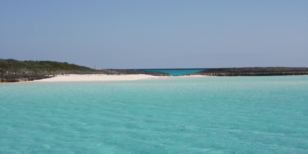 Olivier Bausset . OLY banner