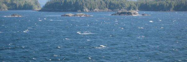 HugoSetzer Profile Banner