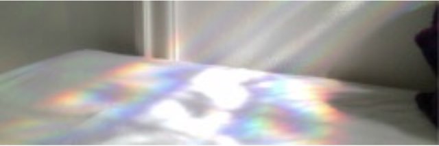 PASSA INSTA banner