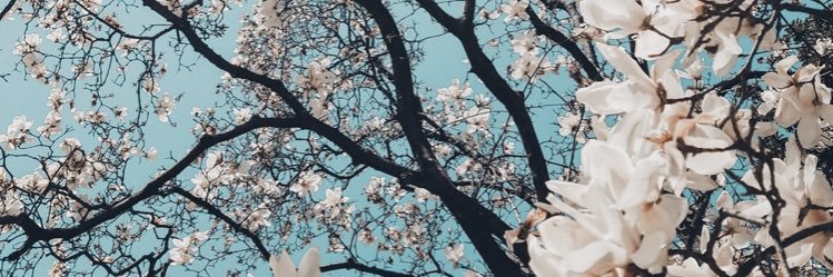 Kiki banner