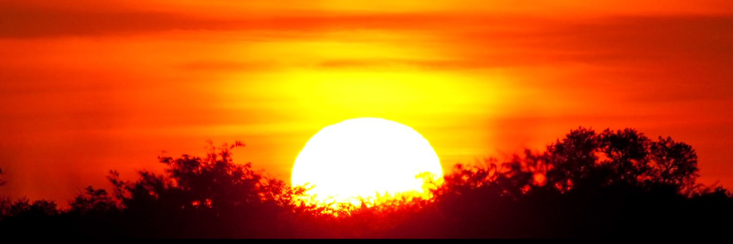 msbp52's profile banner image