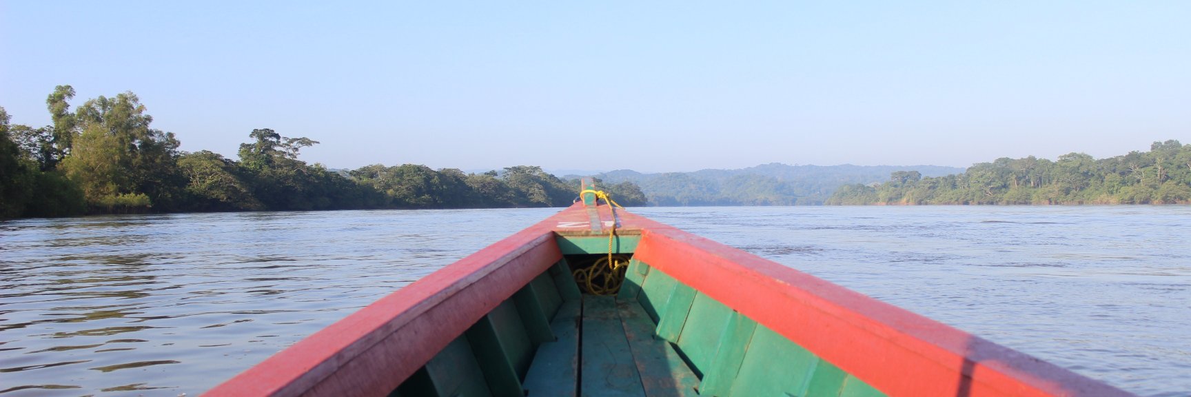 Diαиα Fride🌈 banner