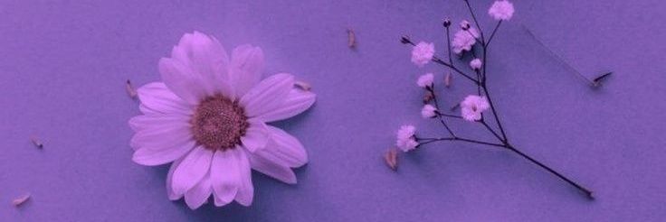 lii_mp's profile banner image