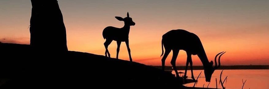 ab6060ha's profile banner image