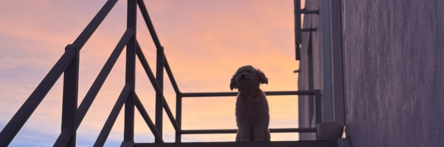 TiskeyA's profile banner image