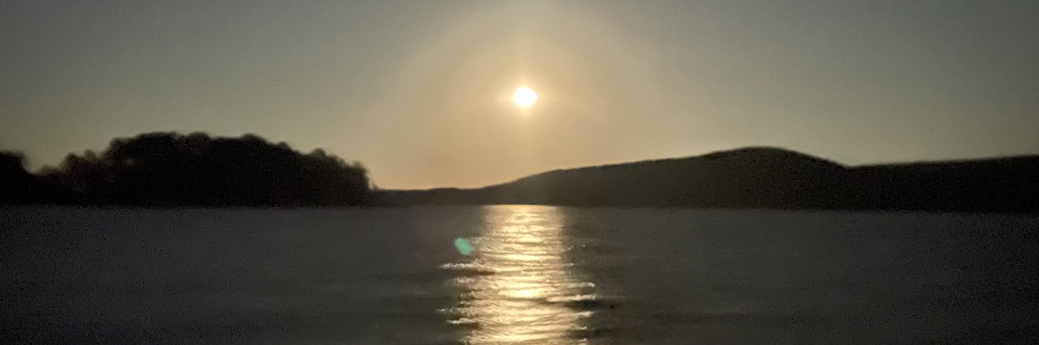 Old Man Forsgren🐗🇺🇸🇸🇪🇲🇦 banner