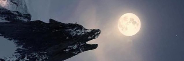 Dursunnas's profile banner image