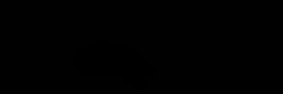 RachelPriet's profile banner image