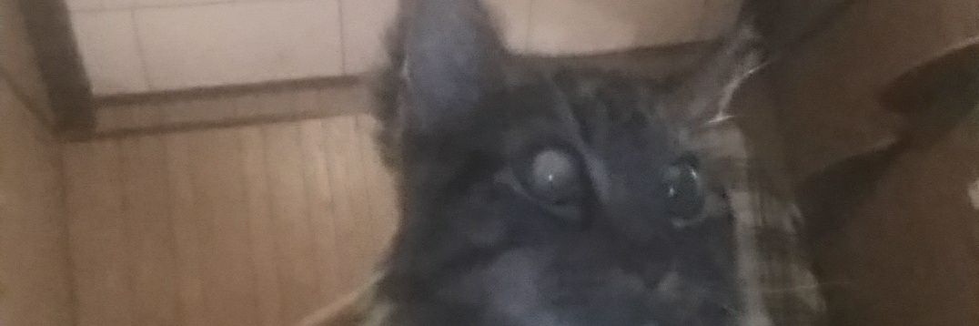 RsnTierney's profile banner image