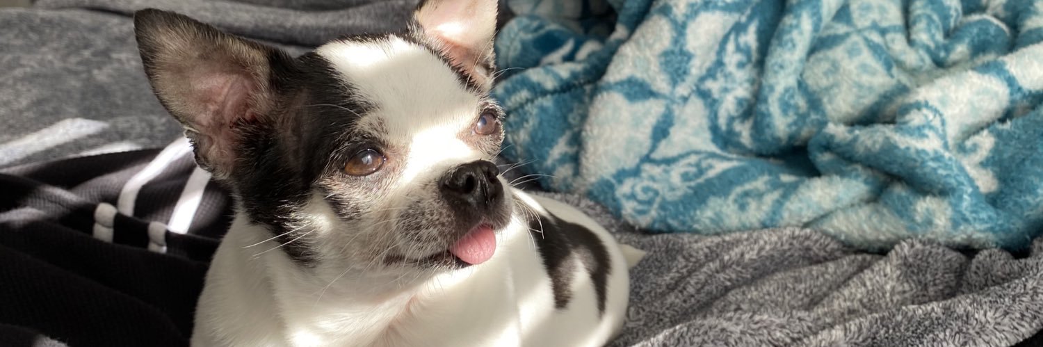 HelenMeoww's profile banner image