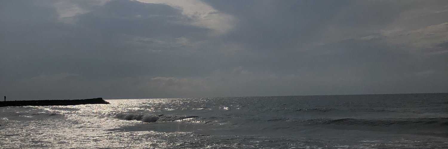 JcDlions's profile banner image