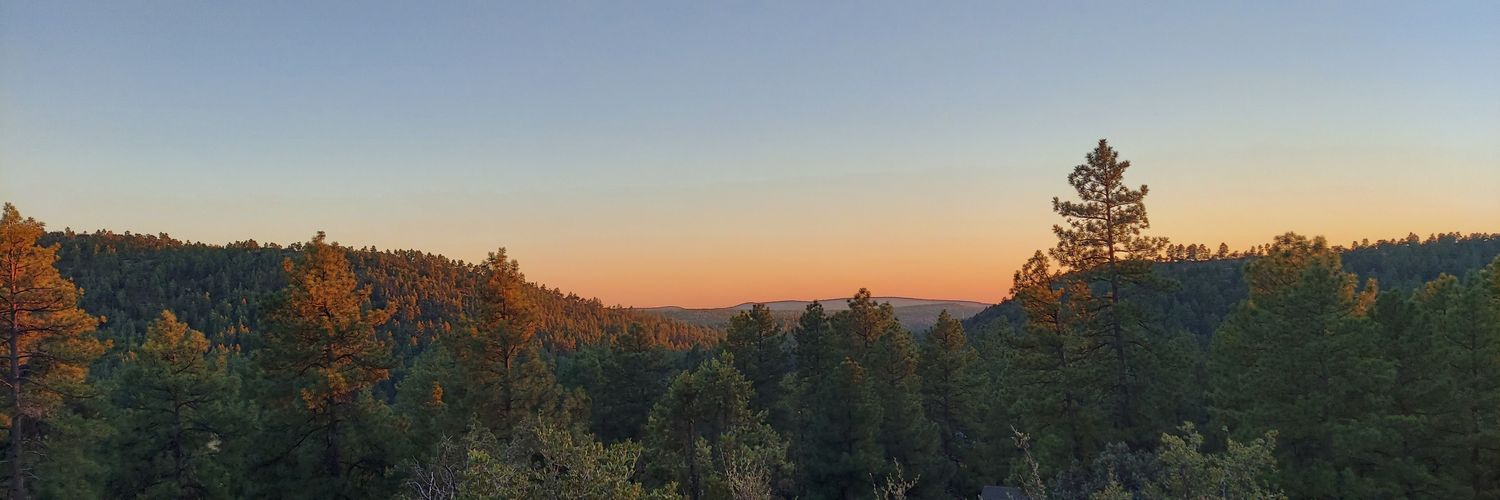 tigerjnl's profile banner image