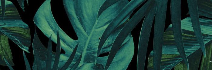 OrdinaryAmelia_'s profile banner image