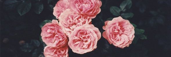 ksteph09's profile banner image