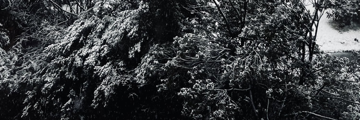 ひ banner