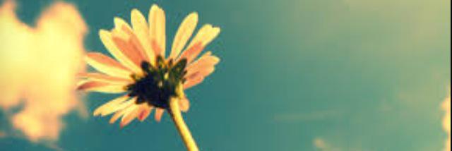 Marrissy4's profile banner image