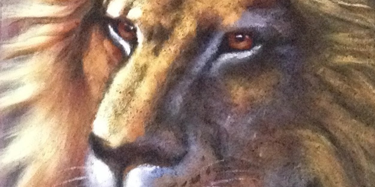 D_Mac_II's profile banner image