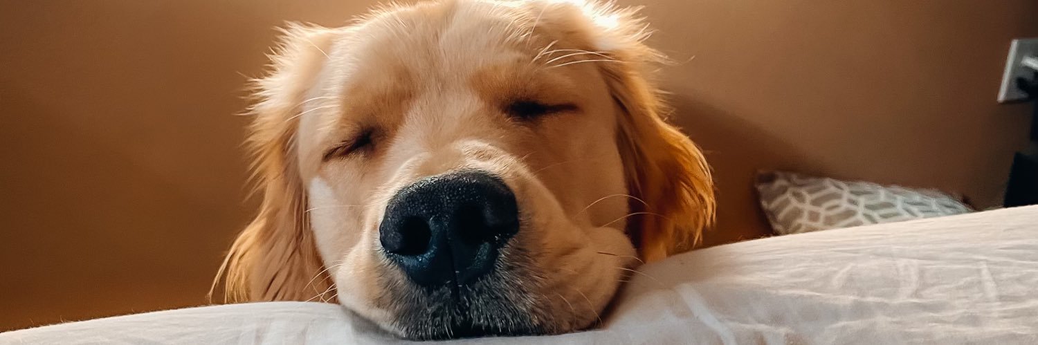 “Wally” Rivera™ banner