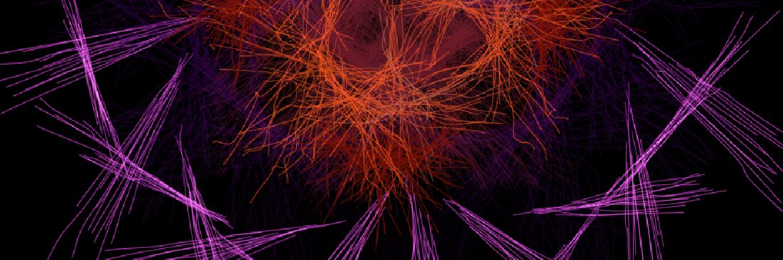 TurTasta 🟩 banner