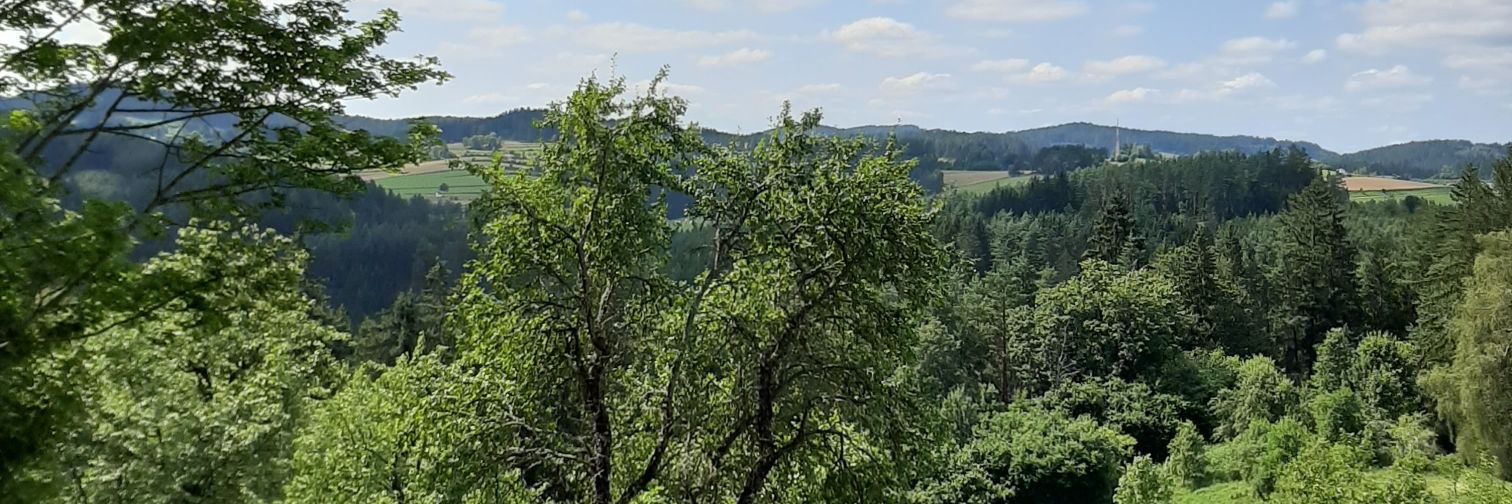 Silvia Weissgram banner