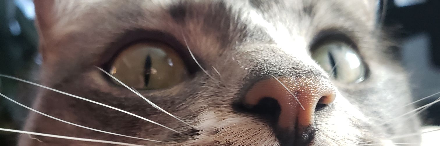 hjnix's profile banner image