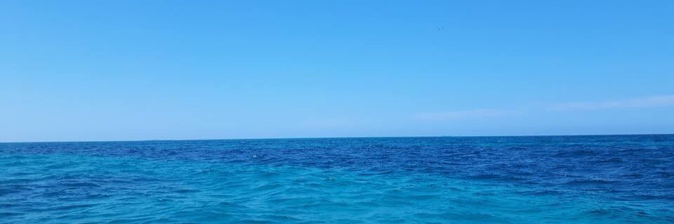 leeya_14's profile banner image