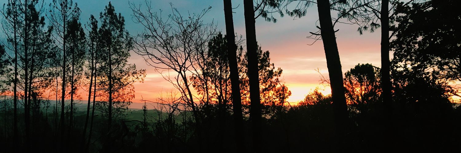 aanaa_mm's profile banner image