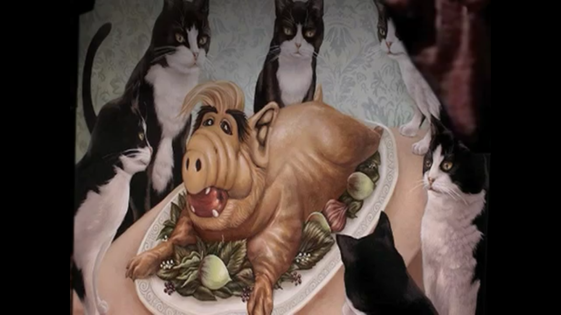 AbbyNormal92's profile banner image