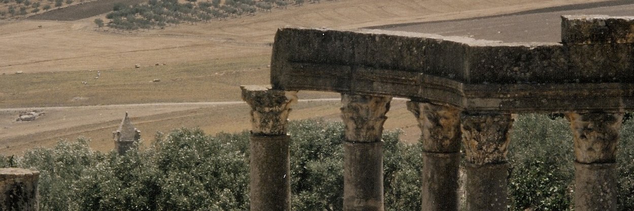 Christine Huckins Franck banner