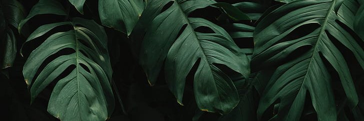 advowry's profile banner image