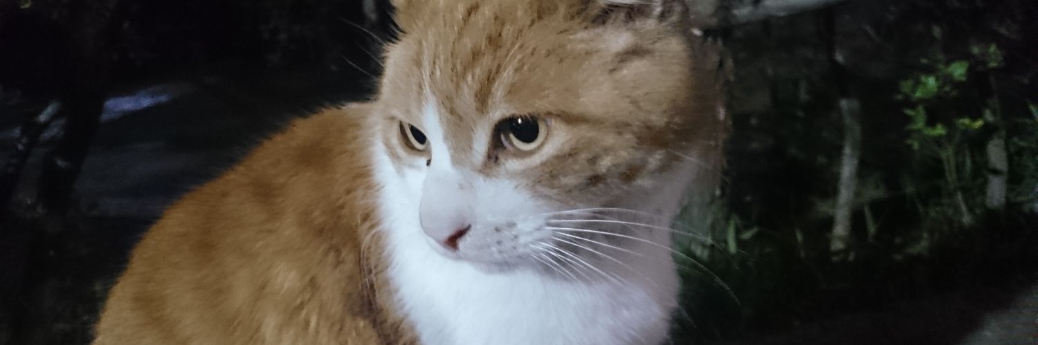 LintaTw's profile banner image