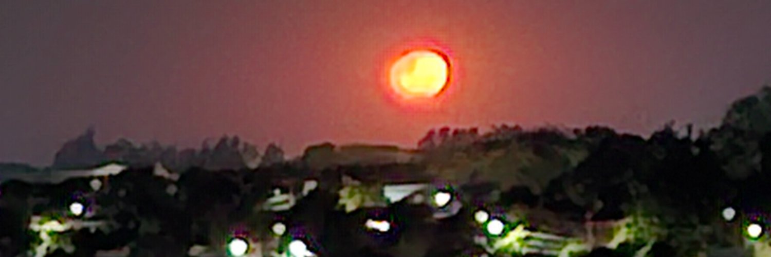 perinbraun's profile banner image