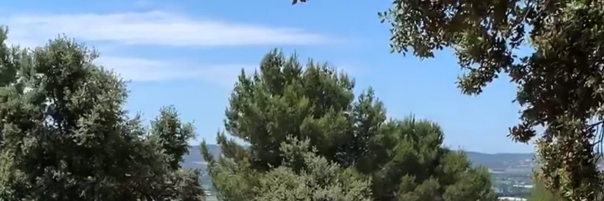 cxndices's profile banner image