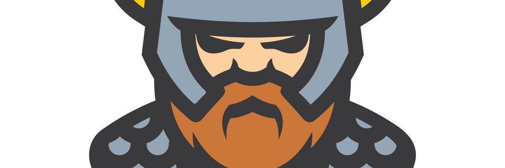 Viking Crypto Warrior banner