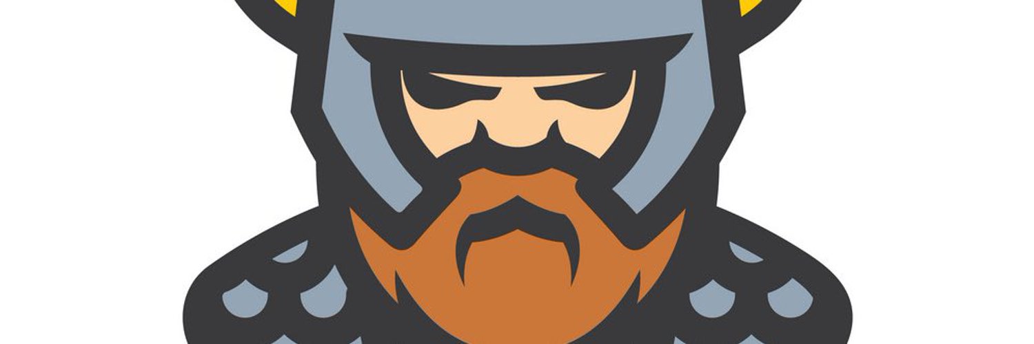 Viking Crypto Warrior Profile Banner