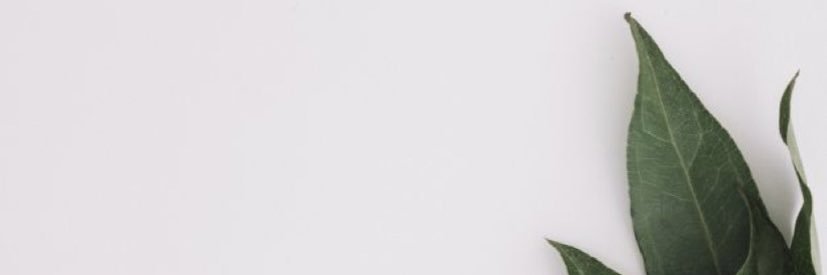hbresciani's profile banner image