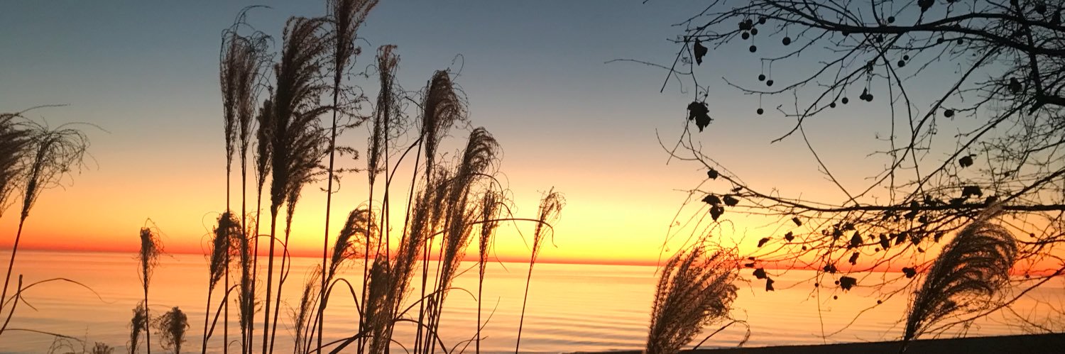 dbanyasz's profile banner image