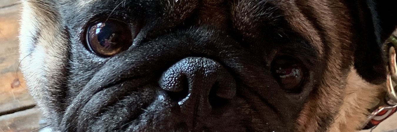 unminionano's profile banner image