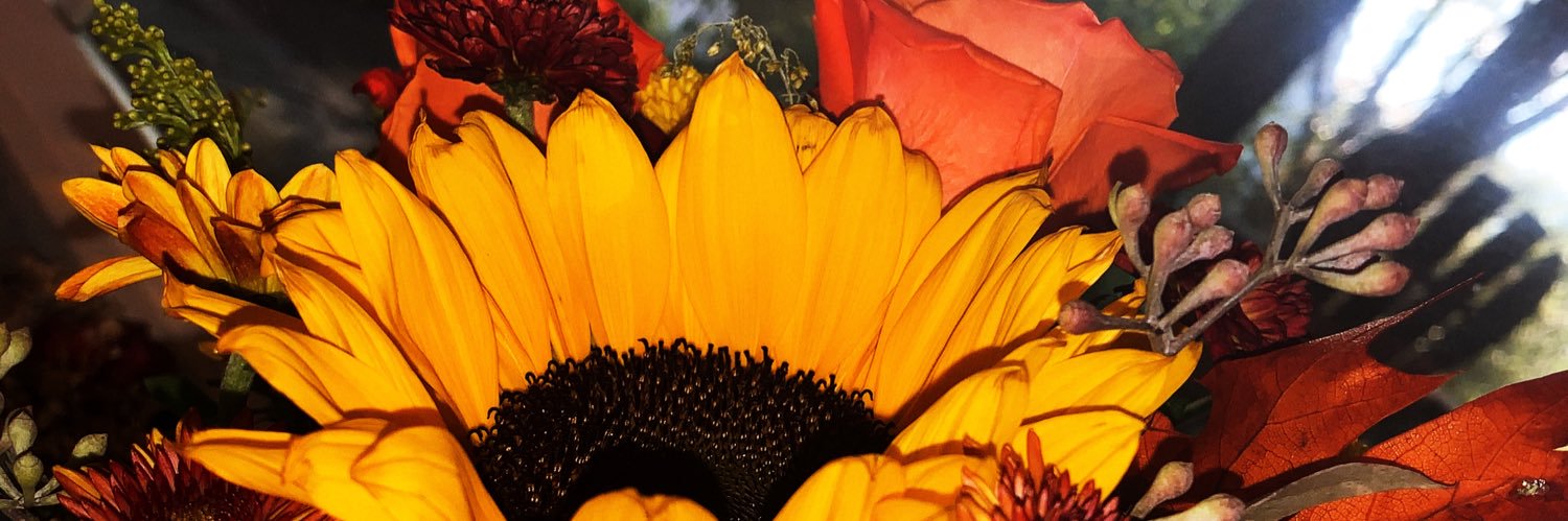 melmartireee's profile banner image