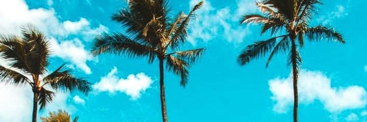 CortesSasssa's profile banner image