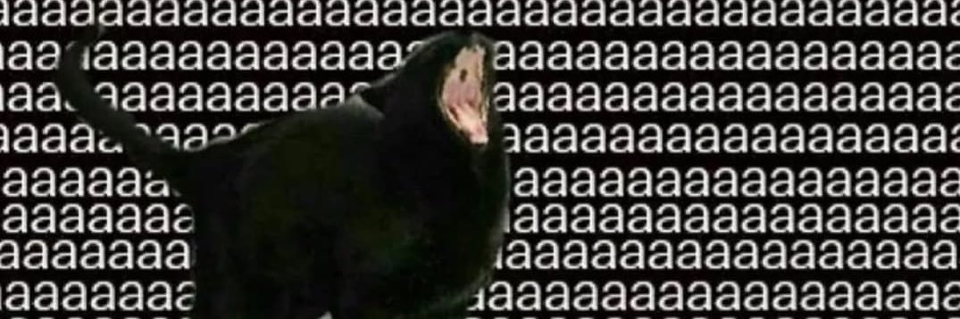 MaggieMtzM's profile banner image