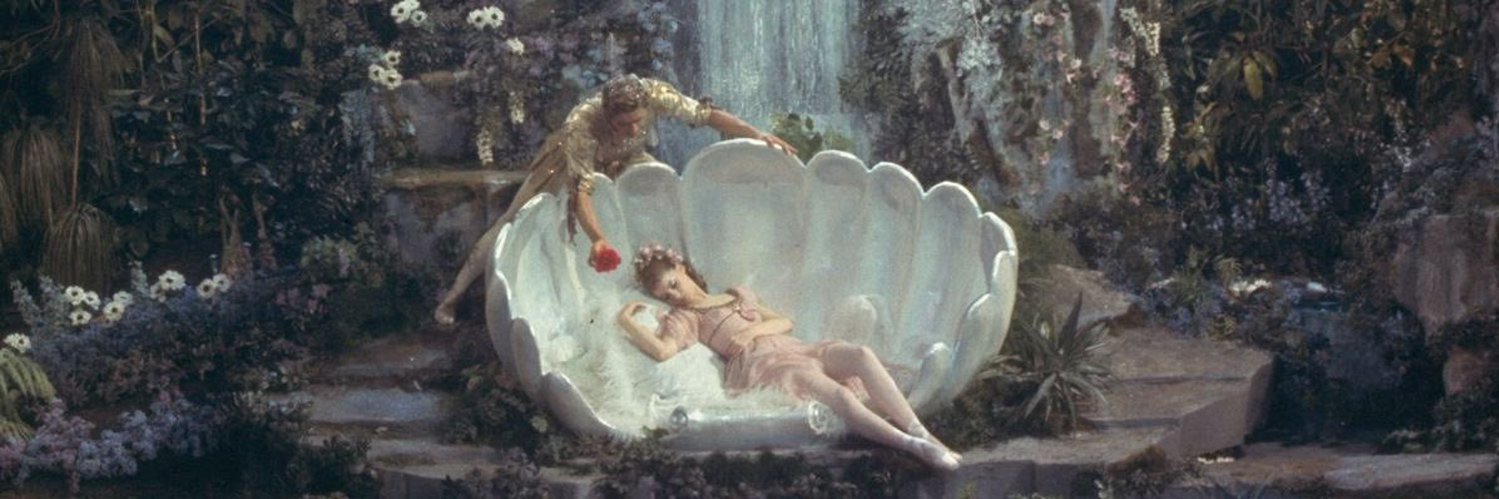 𝐿𝑒𝑛𝑎 ⭑ banner